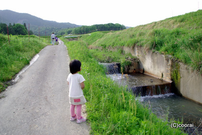 画像 095.jpg